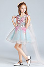 Robe Courte Pour Enfants Avec Fleurs En Tulle