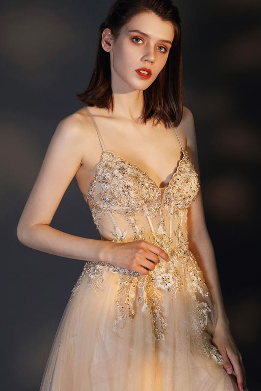 Spaghetti Straps V-Cut Sheer Bodice Tulle Party Dress